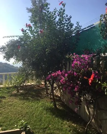 Zehra Private Pool & Garden