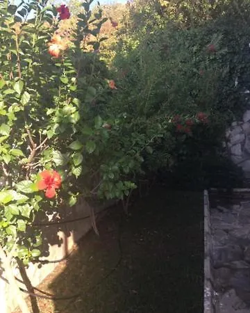 Zehra Private Pool & Garden 2* Alanya